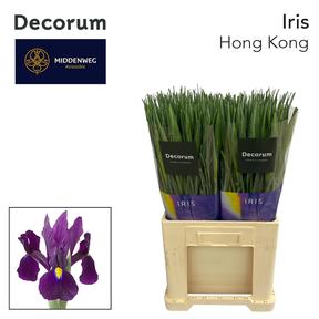 Iris hong kong