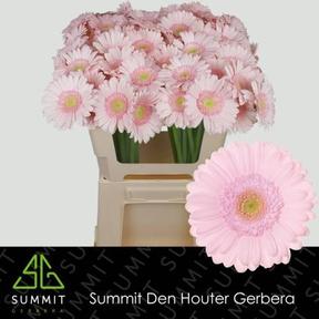 Germini bridal kimsey