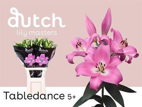 Lilium or tabledance