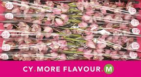 Minicymbidium peachlet irene