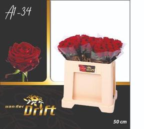 Rosa gr red naomi!