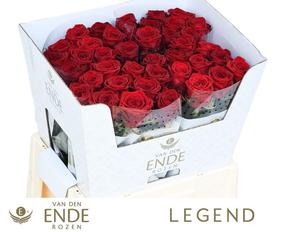 Rosa gr red naomi!