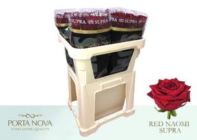 Rosa gr red naomi!