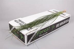 Zeleň - beargrass bal.