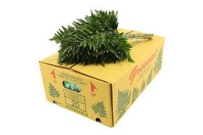 Zeleň - rumora mini bal.