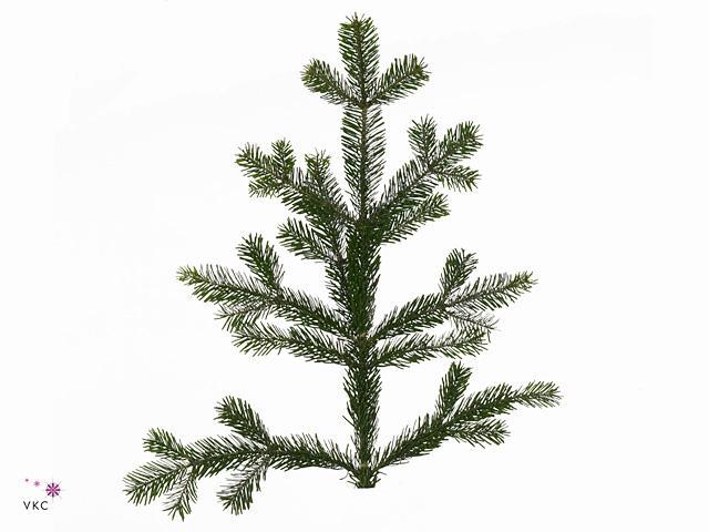 Zeleň - jedle nordmann 5 kg DIRECT (dk) bal.