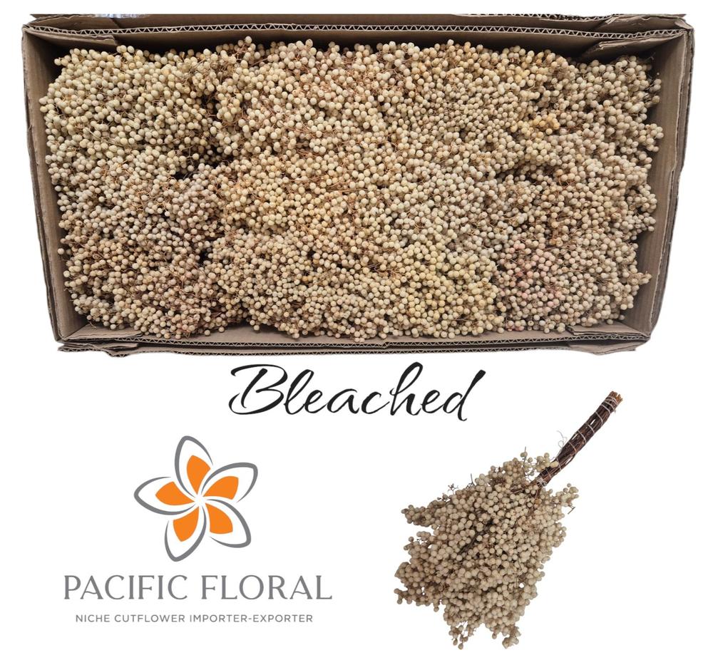 Zeleň - schinus molle bal.