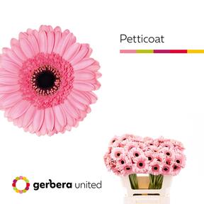 Germini plastic petticoat