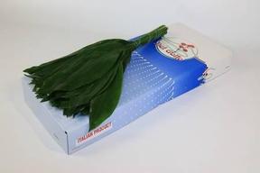 Zeleň - aspidistra velká