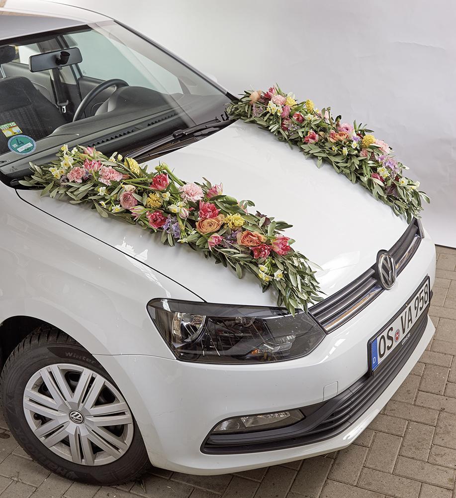 OASIS® Auto Corso