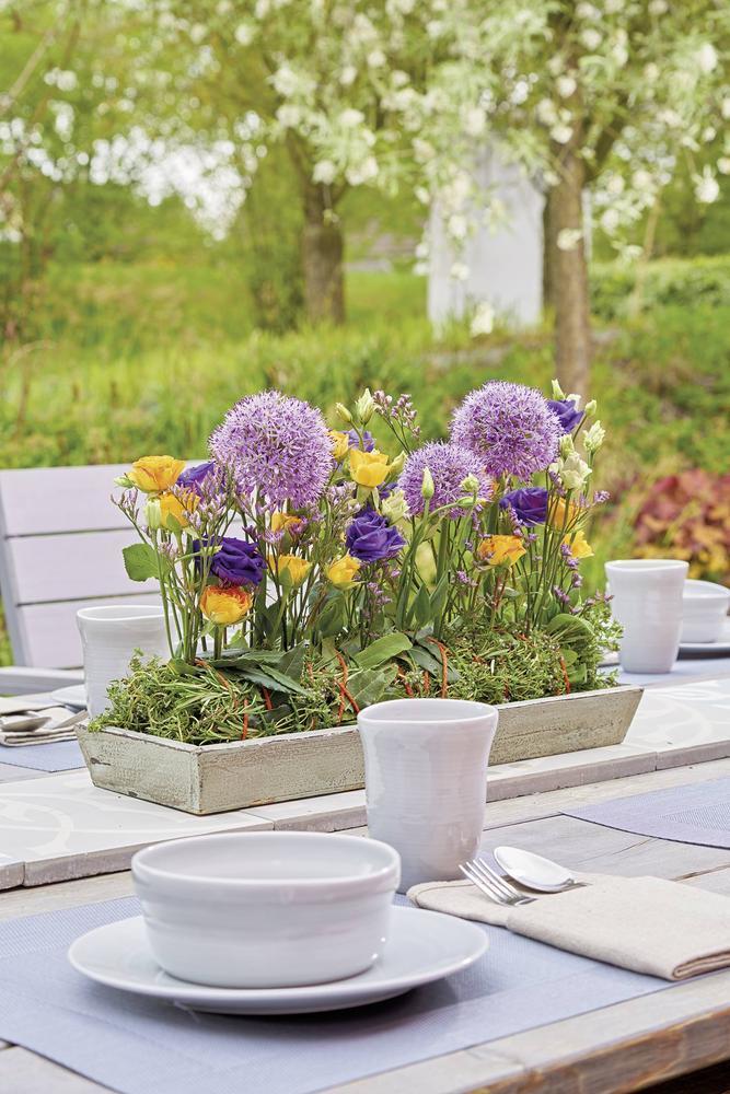 OASIS® pinholder, Ø 3 cm, 3 cm, 100 ks v balení