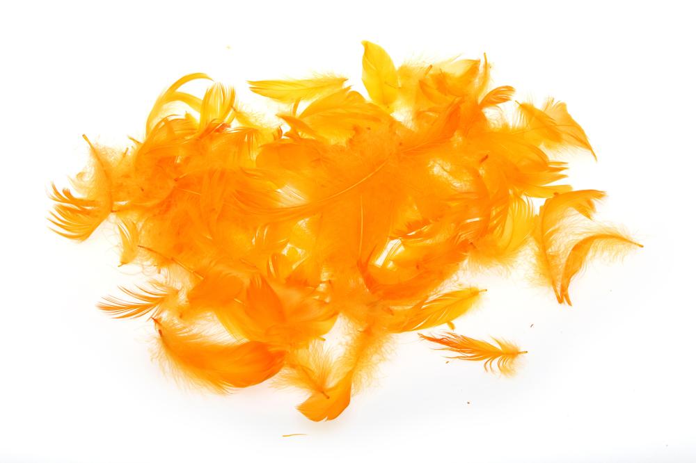 Pírka 10g oranžová