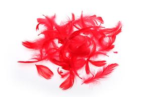 Pírka 10g červená