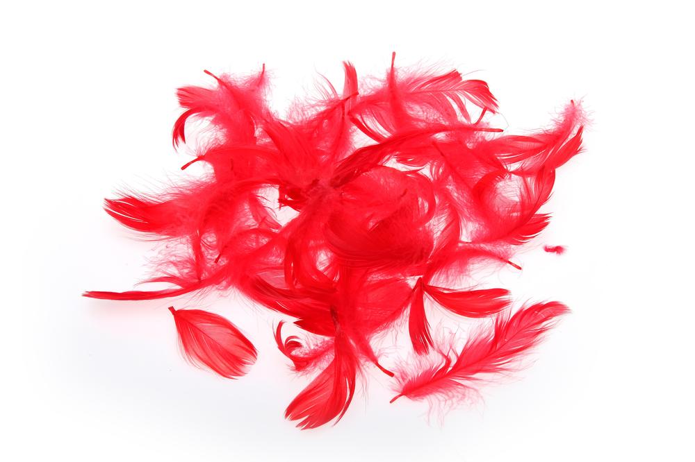 Pírka 10g červená