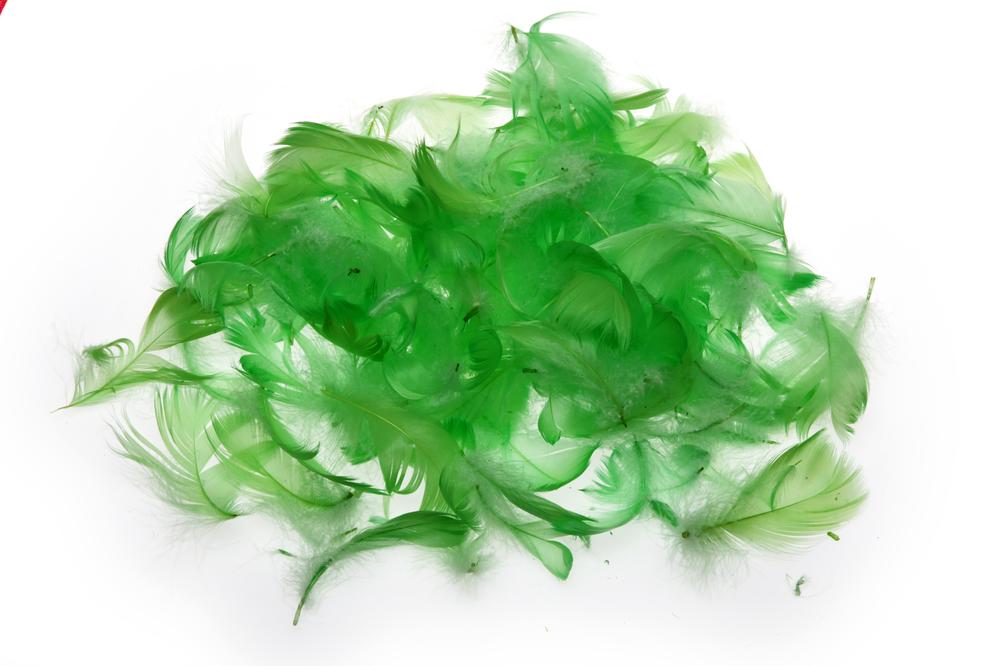 Pírka 10g zelená světlá