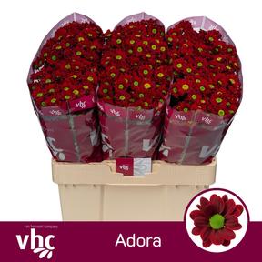 Chrys sa adora