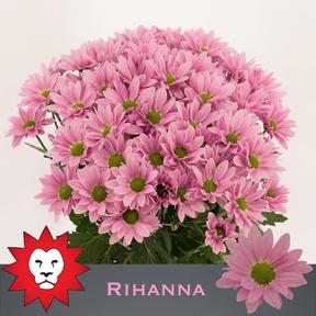 Chrys tr rihanna