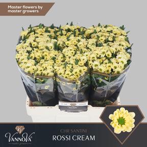 Chrys sa rossi cream