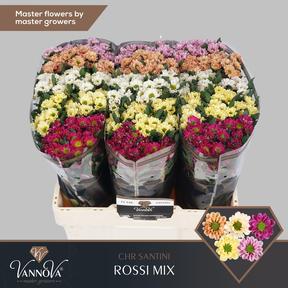 Chrys sa rossi mix