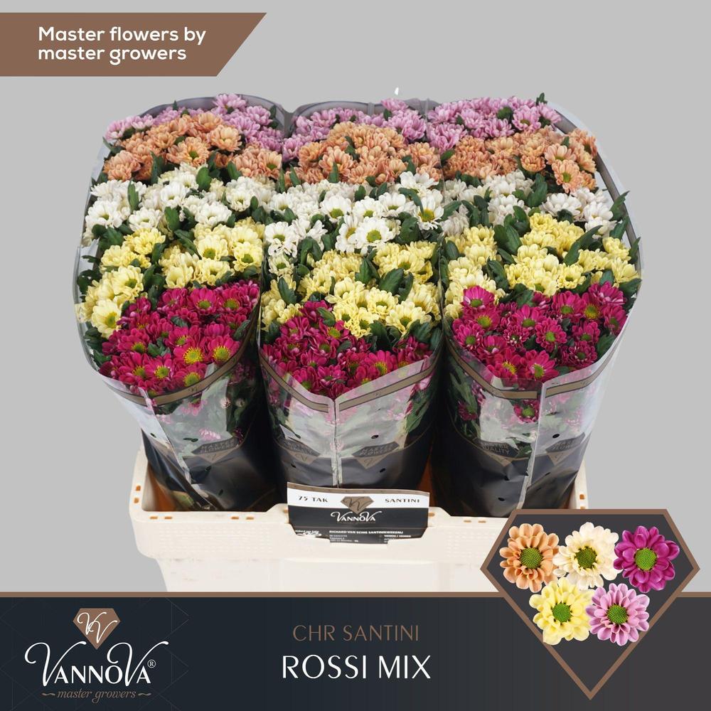 Chrys sa rossi mix