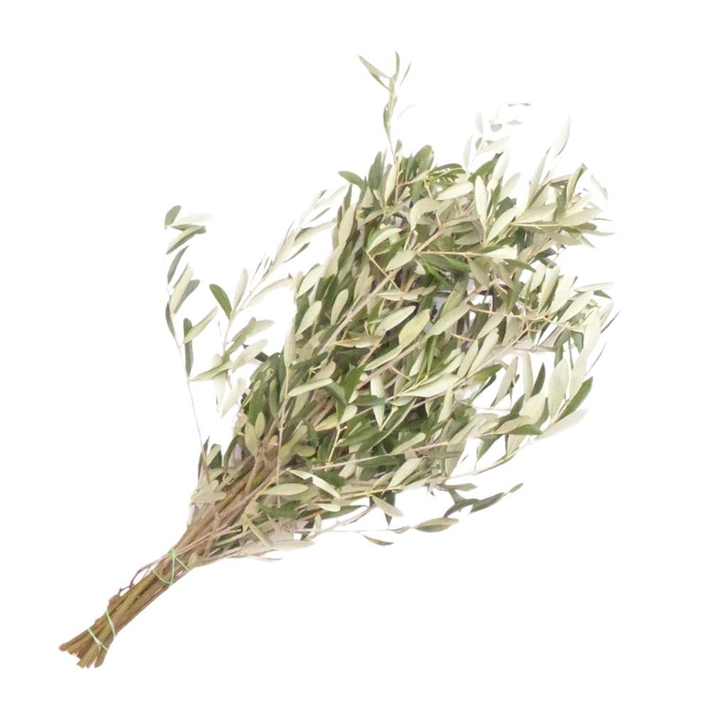 Zeleň - oliva DIRECT (it) bal.