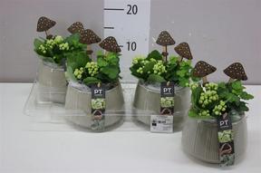 Aranžment podzimní