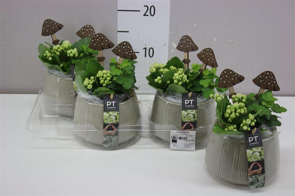 Aranžment podzimní