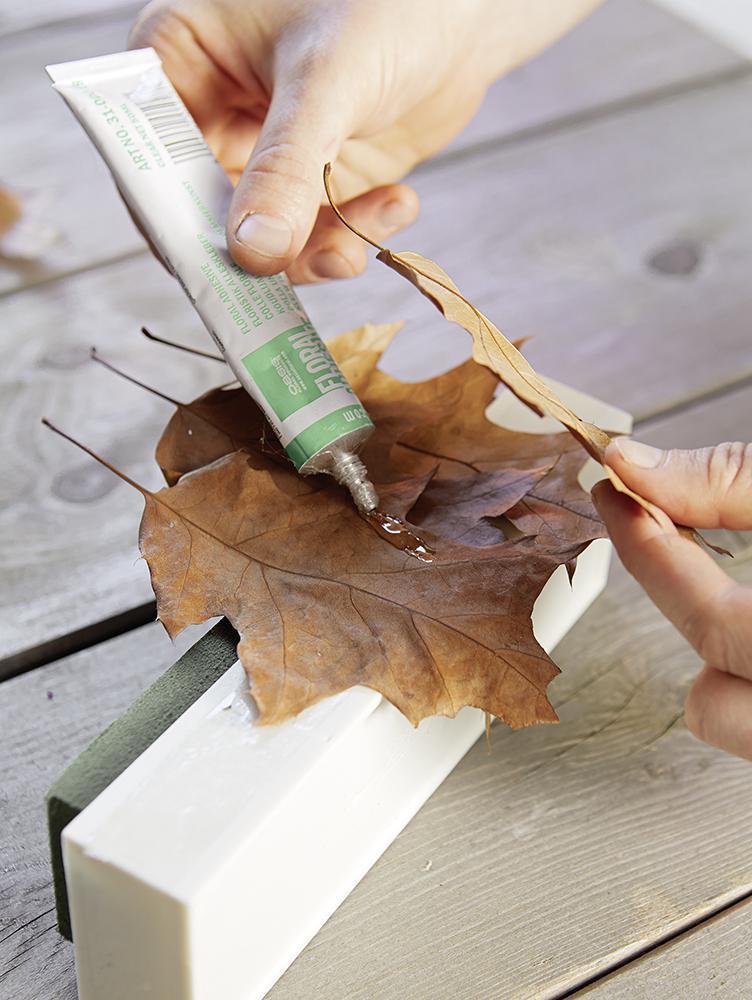 OASIS® Adhesive lepidlo v tubě, 50 ml