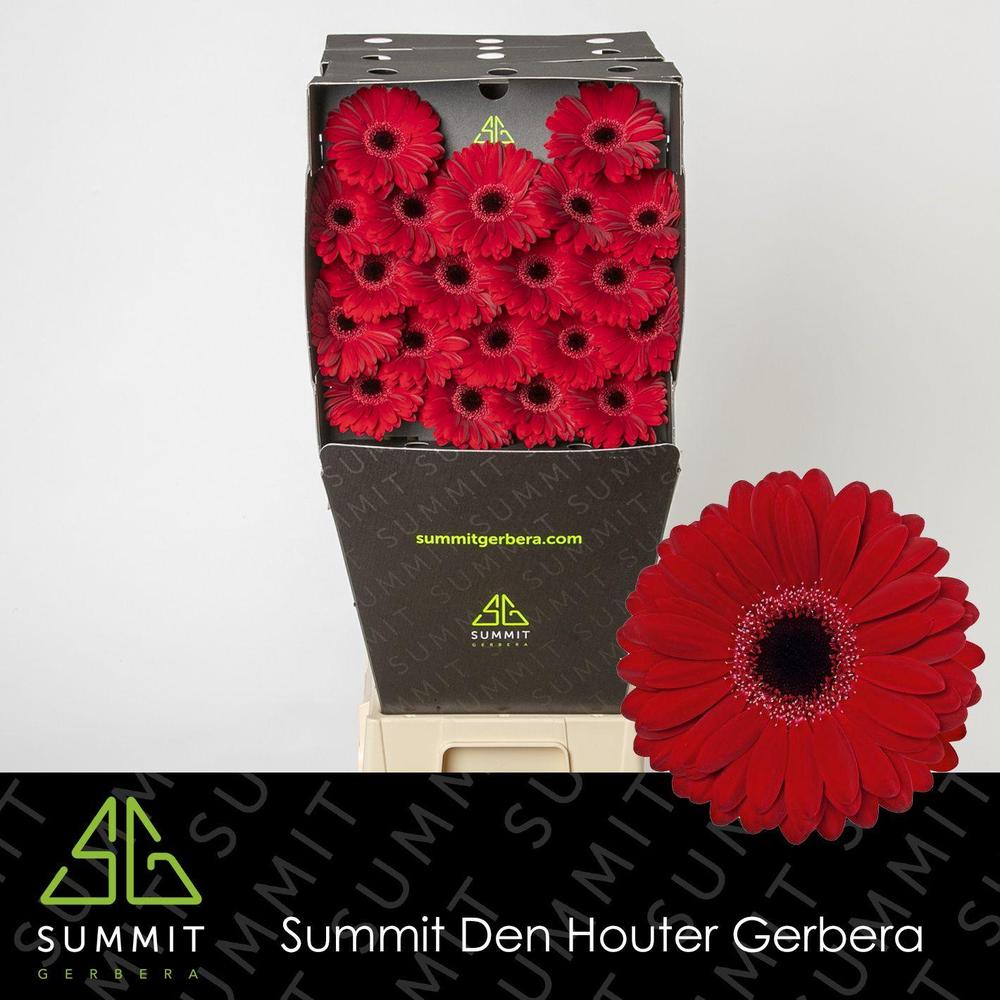 Germini plastic black tie