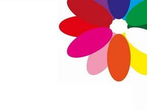 Mix winterflowers