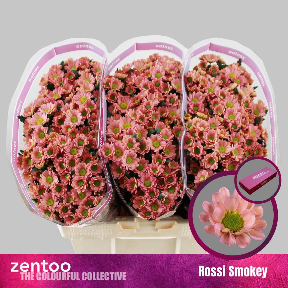 Chrys sa rossi smokey