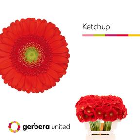 Germini plastic ketchup