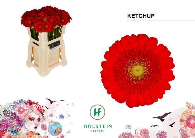 Germini plastic ketchup