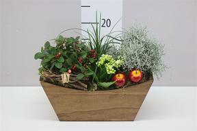 Aranžment podzimní