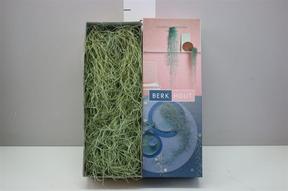 Tillandsia usneoides 50cm