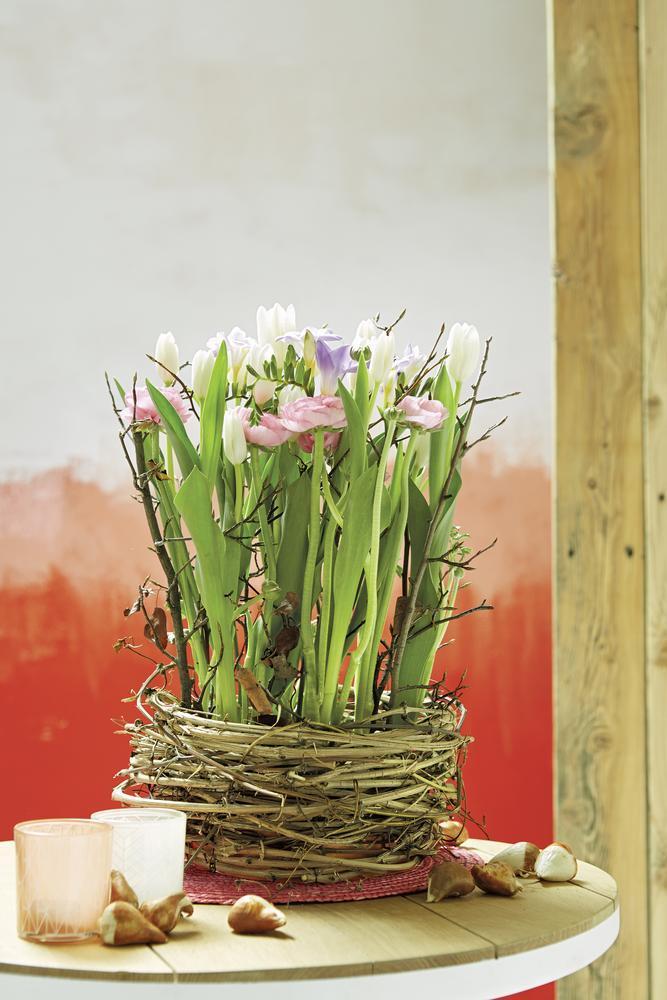 OASIS® miska venezia, Ø 20 cm