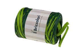 Poly raphia 68170 (vícebarevná) 5mm x 200m, zelená 27