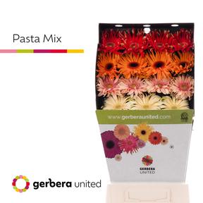 Gerbera diamond pasta mix