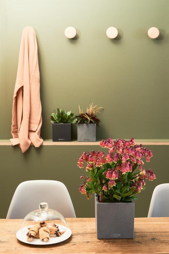 Lechuza Canto stone 14 kamenná šedá