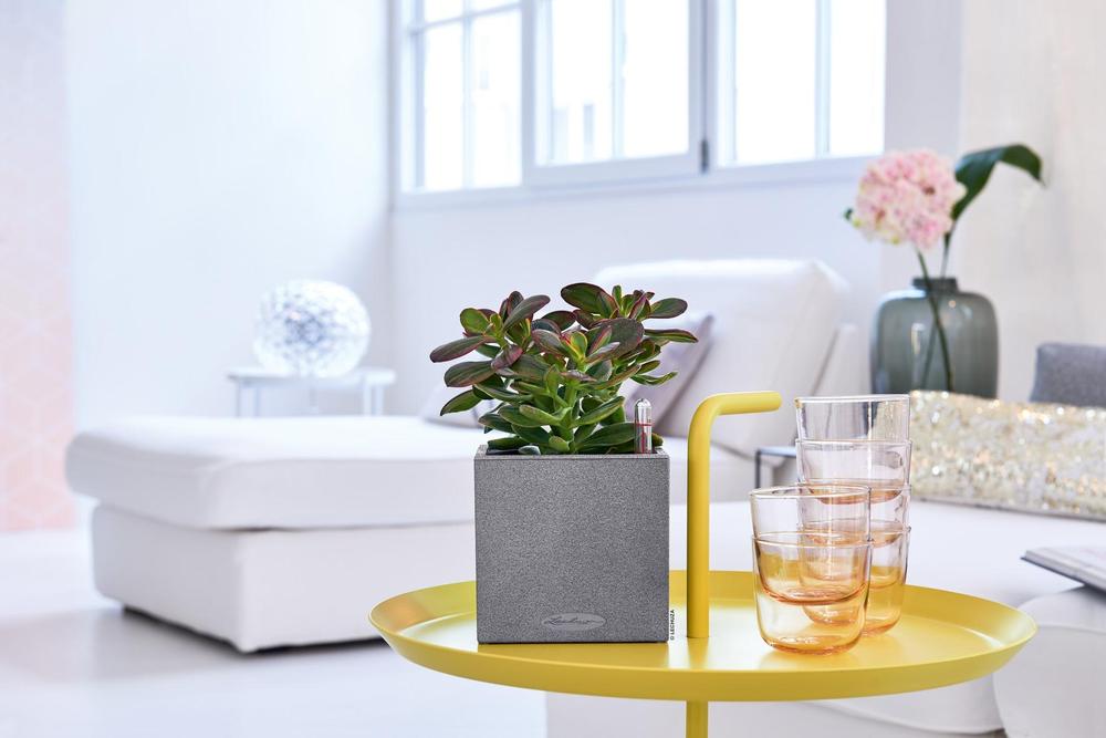 Lechuza Canto stone 14 kamenná šedá