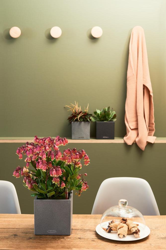 Lechuza Canto stone 14 kamenná šedá