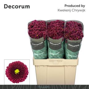 Chrys sa purpetta red