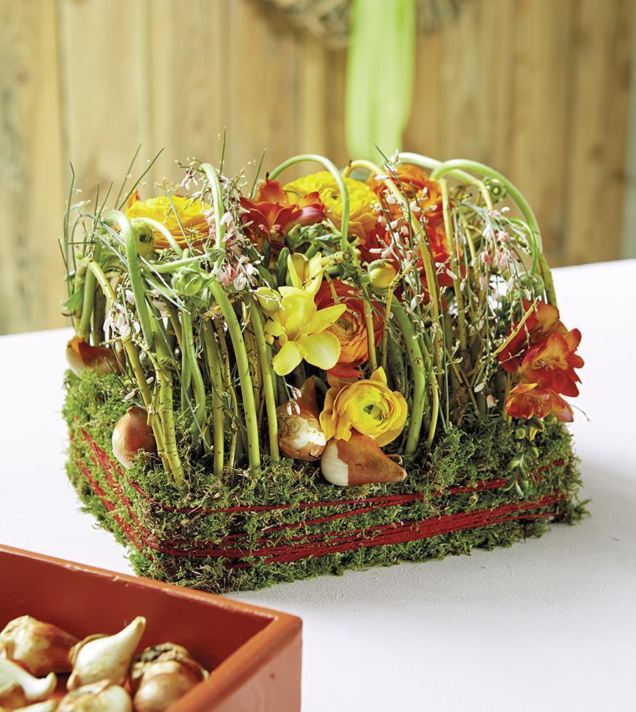 OASIS® Ideal table deco medi, bílá