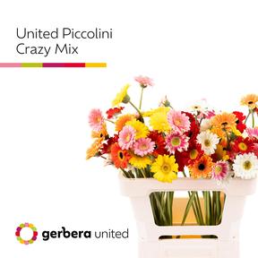 Germini plastic piccolini mix
