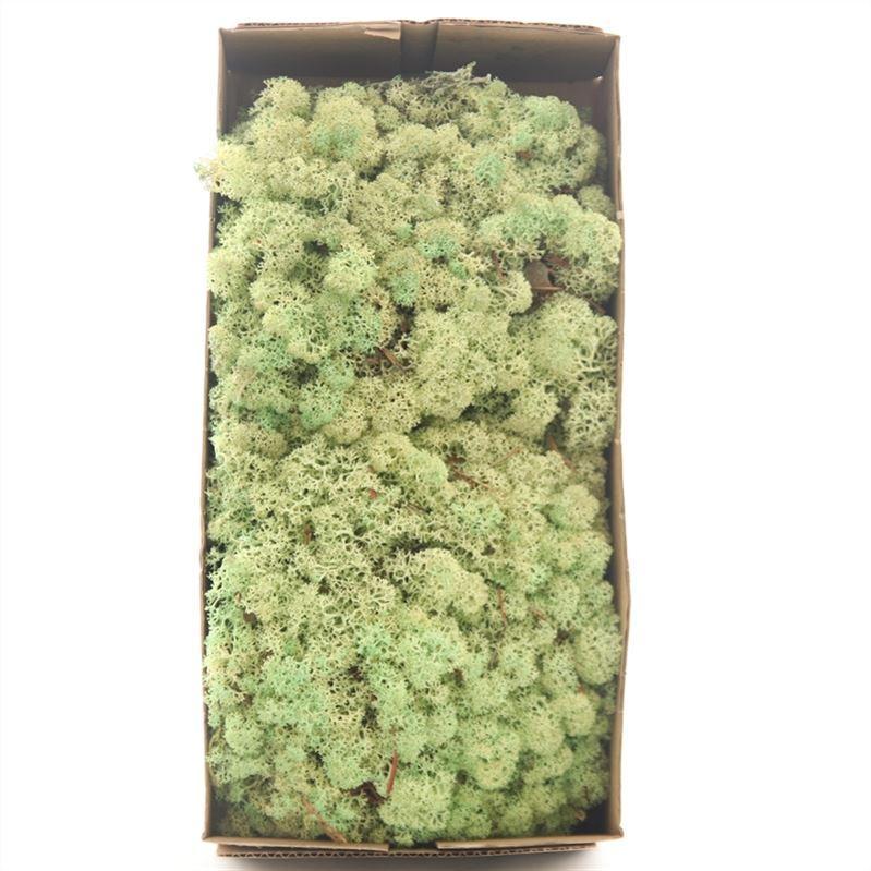 Mech islandský (sobí) 500 g, zelená mátová