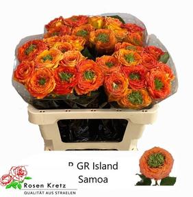 Rosa gr green island samoa