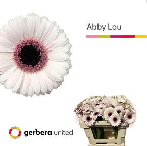 Germini plastic abby lou