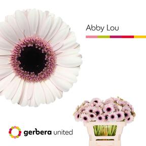 Germini plastic abby lou