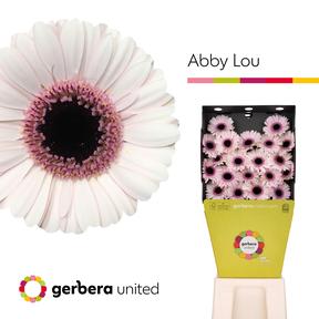 Germini plastic abby lou