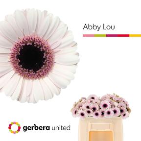 Germini plastic abby lou